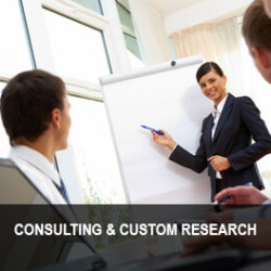 Market Research Reports. Custom Research Reports